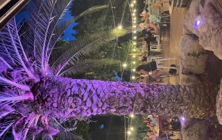 Bar terrasse palmier violet - Copie